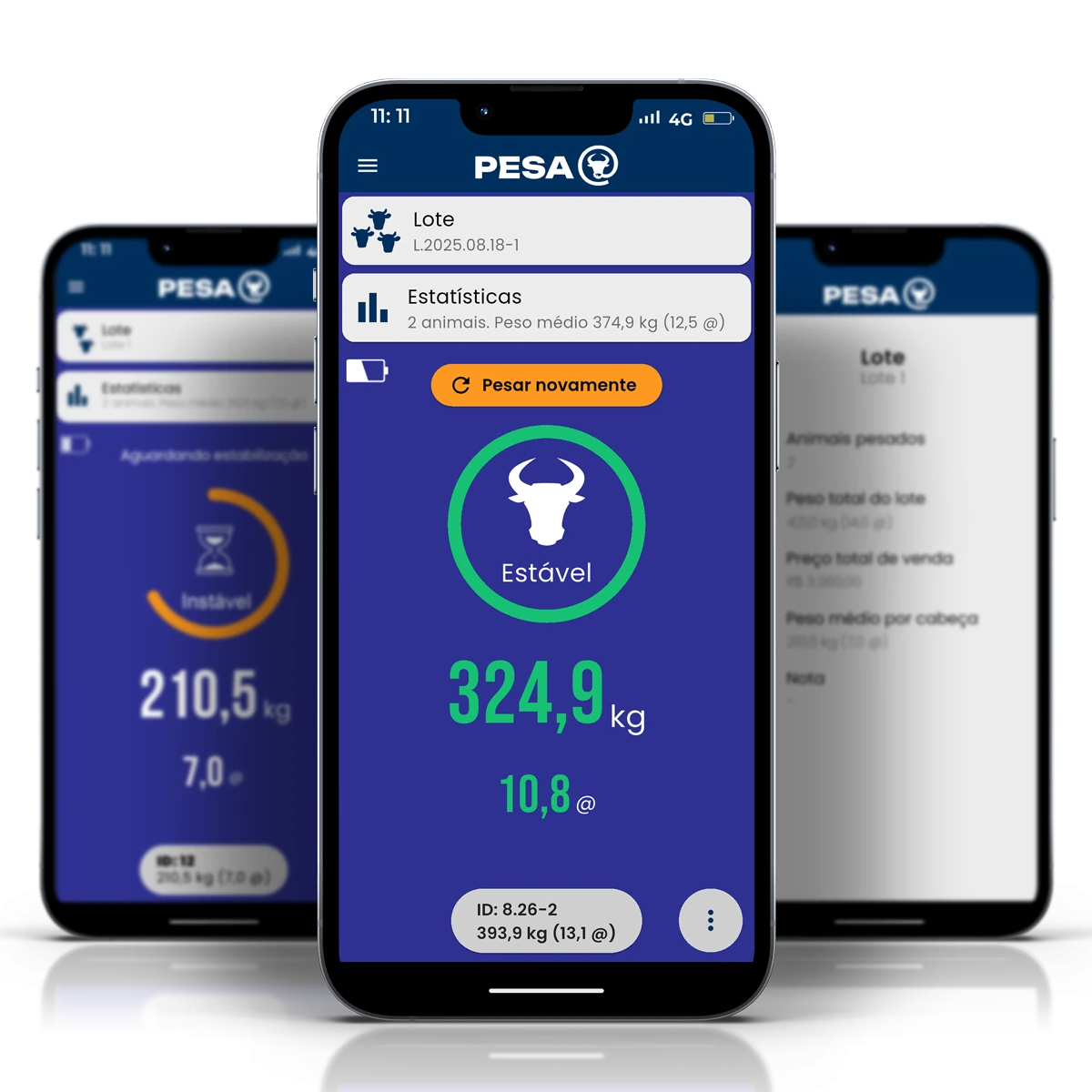 Software de pesagem Pesa@